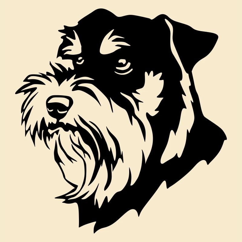 Schnauzer Kopf