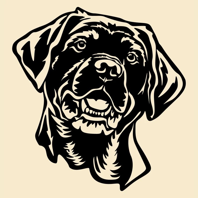 Tête de labrador