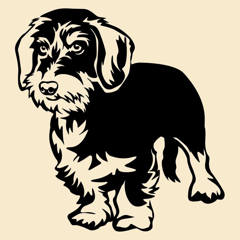 Dachshund