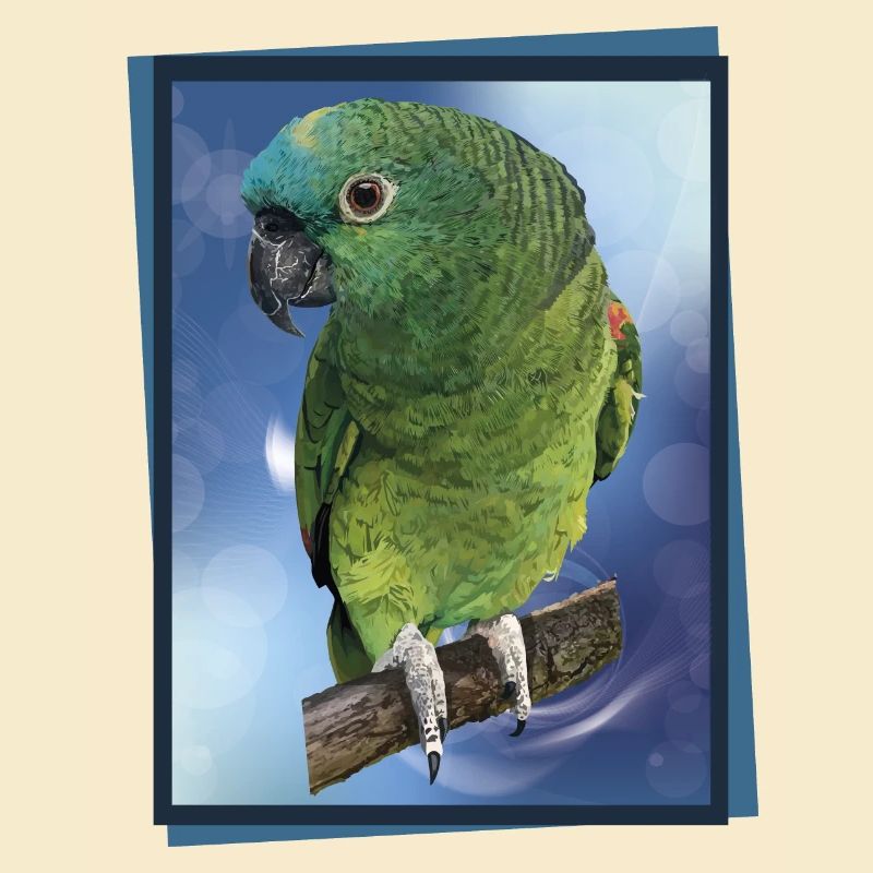 The blue-fronted amazon