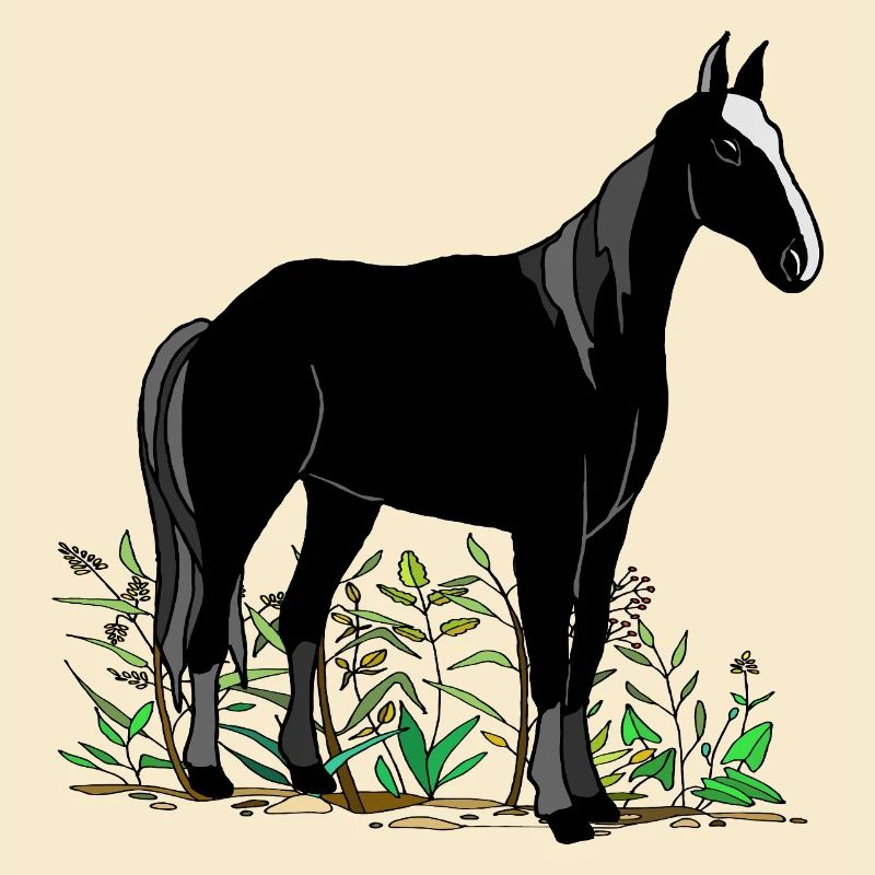 Pferd