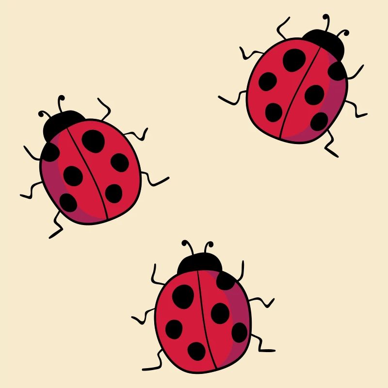 coccinelle