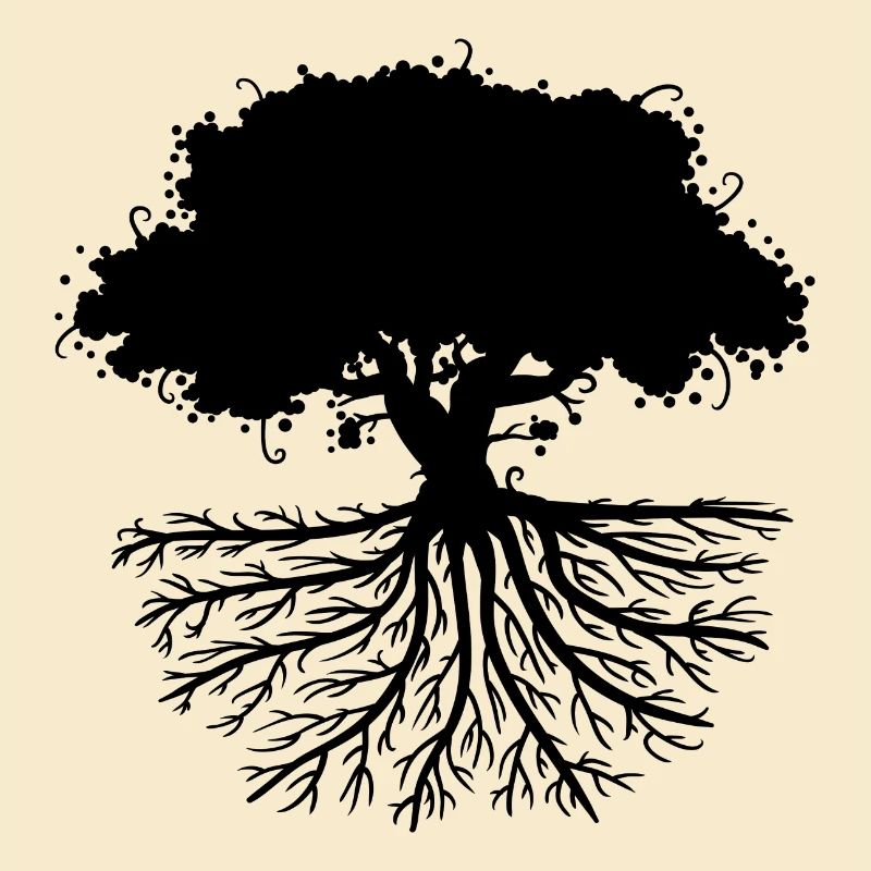 tree roots black
