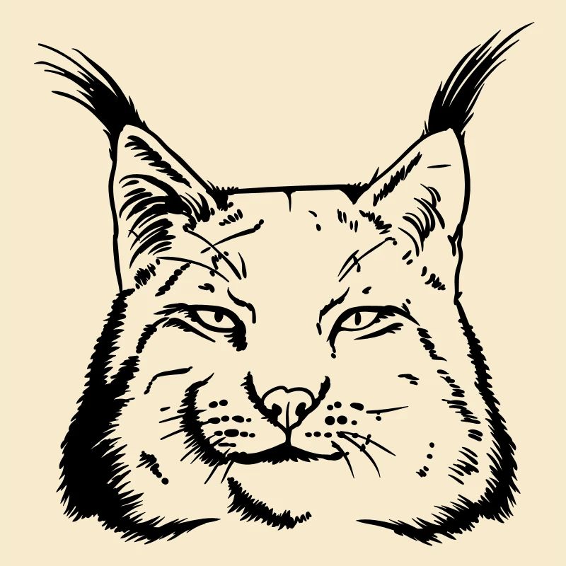 caracal
