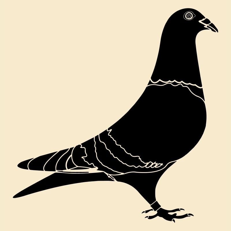 Carrier pigeon shade