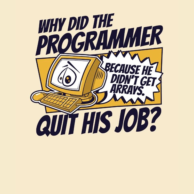 Why Did Programmer Quit Job Developer Coder