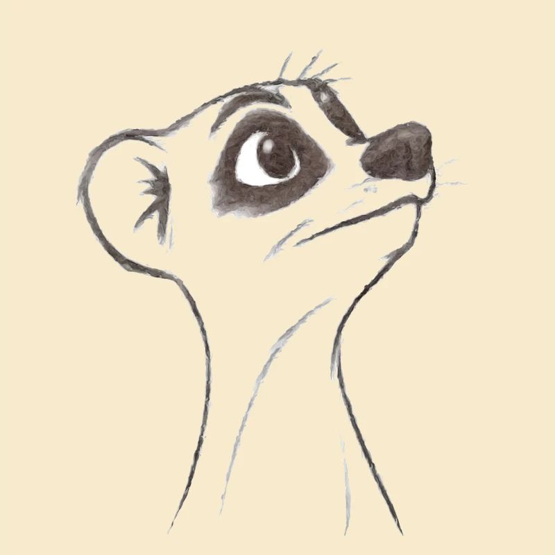 fragendes Erdmännchen