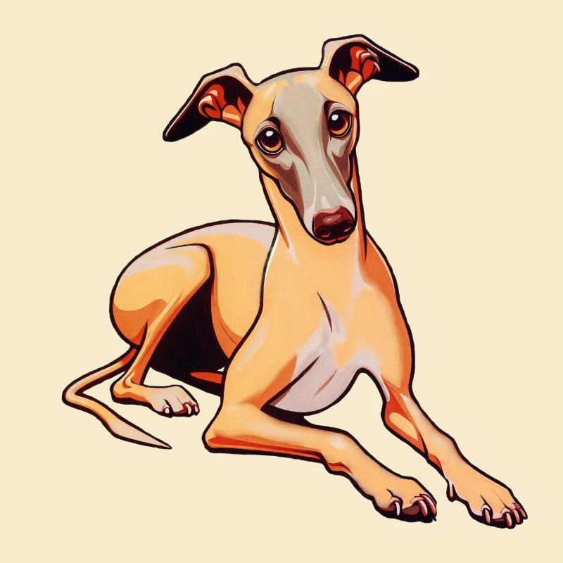 Whippet