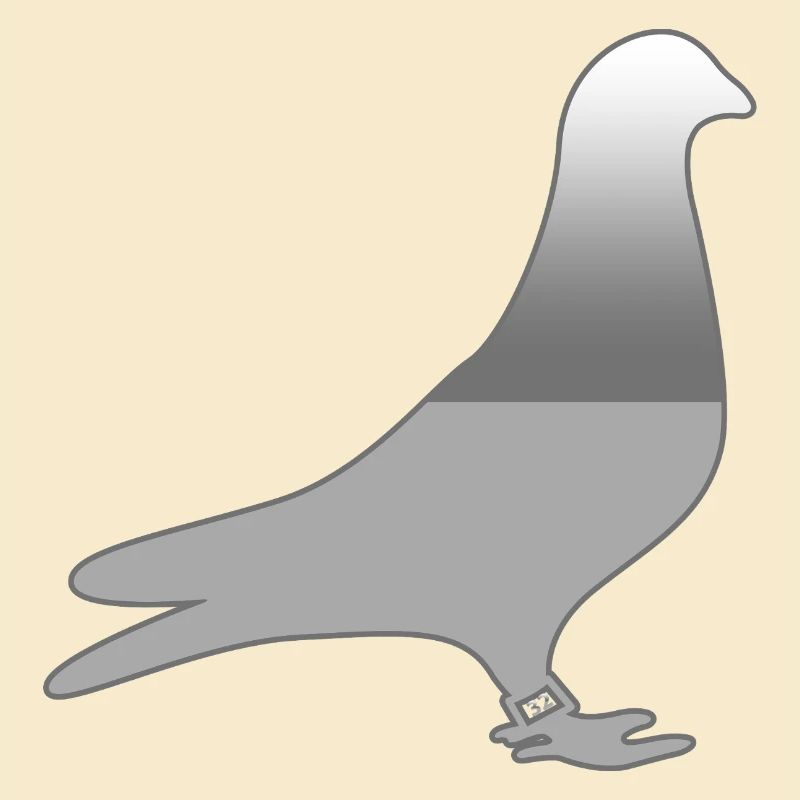 Tauben