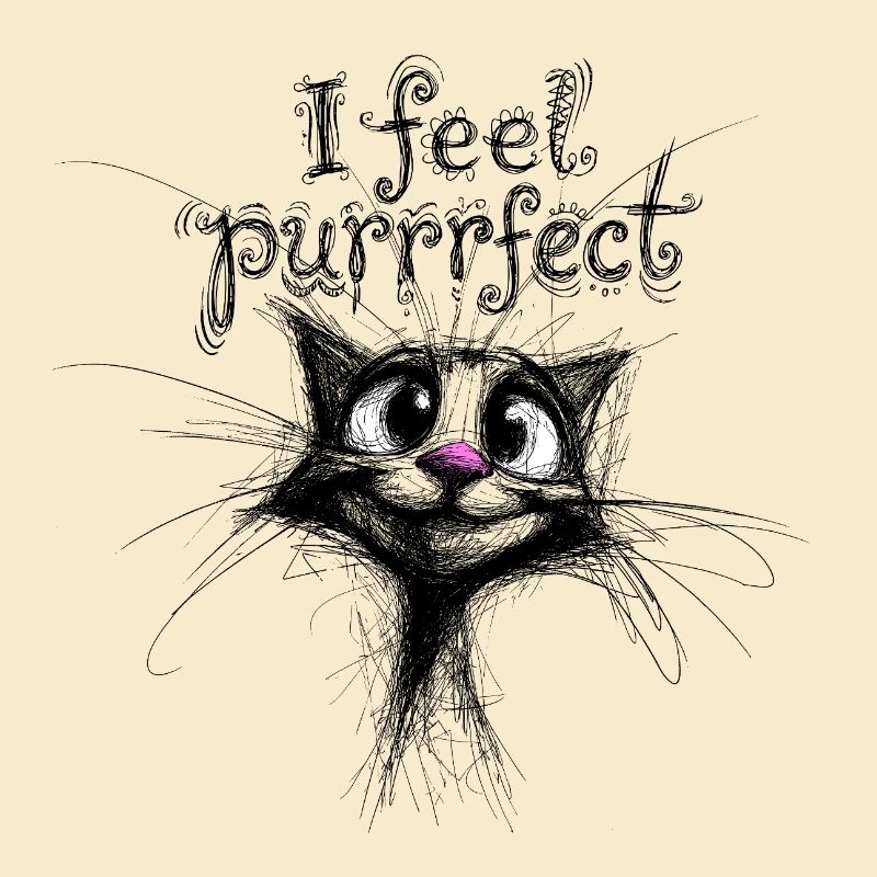 Je me sens parfaite – chat mignon