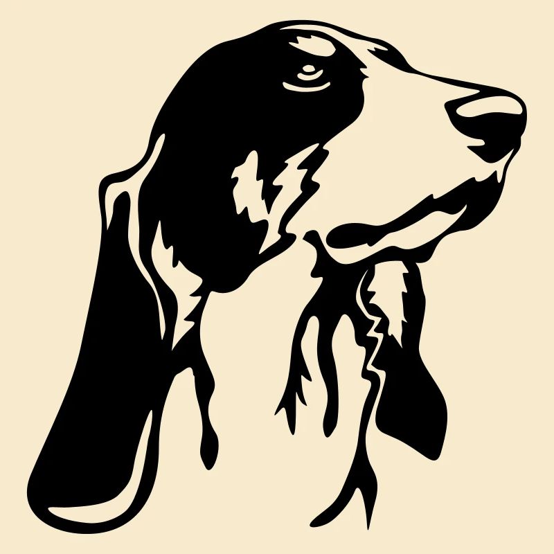 Berner Laufhund Kopf