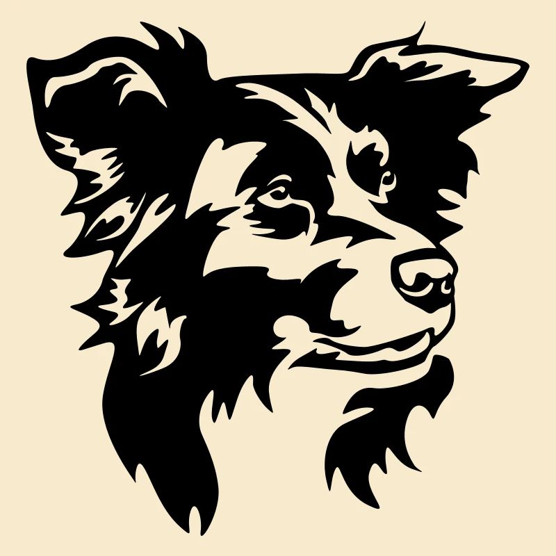 Border Collie Kopf