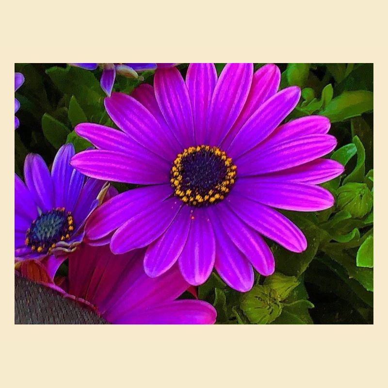 Fleur