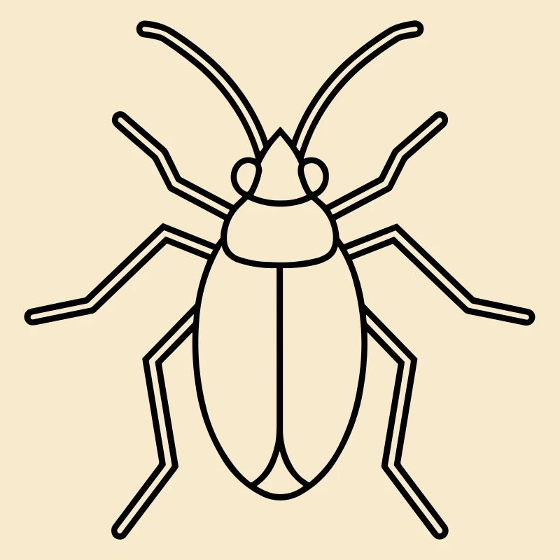 Aphid