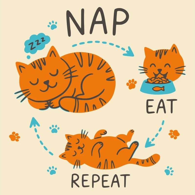 Nap Eat Repeat Cat Design