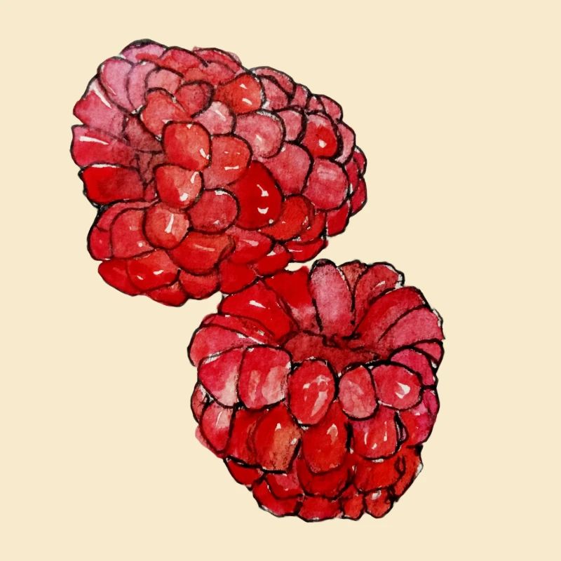 Himbeeren 