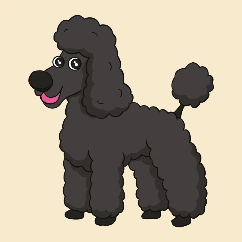 caniche doux