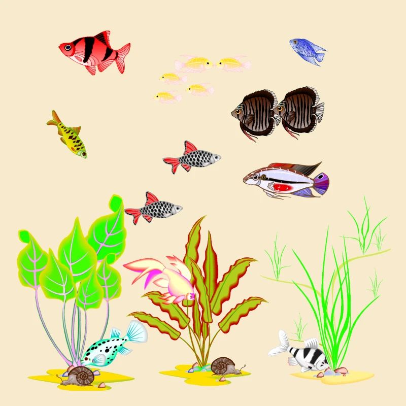 Vivid Tropical Reef Life Scene