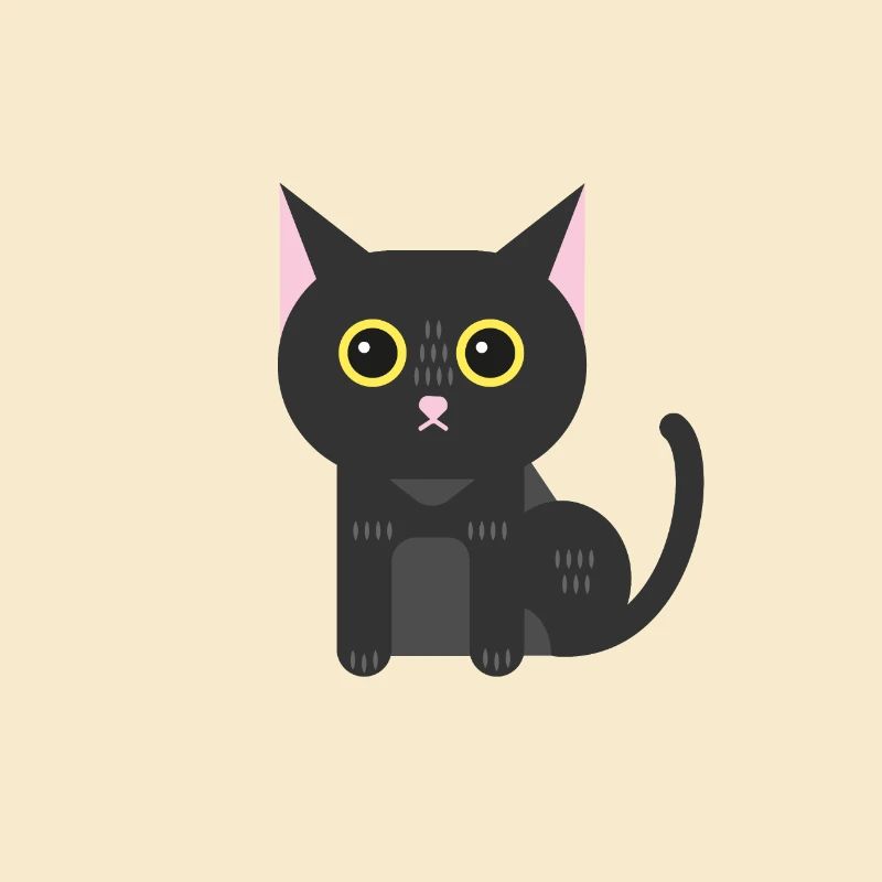 Chat noir chaton chat