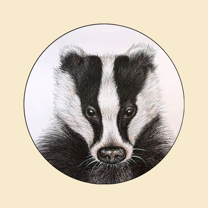 Blaireau /Badger
