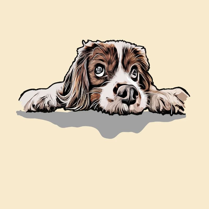 cavalier roi Charles Spaniel