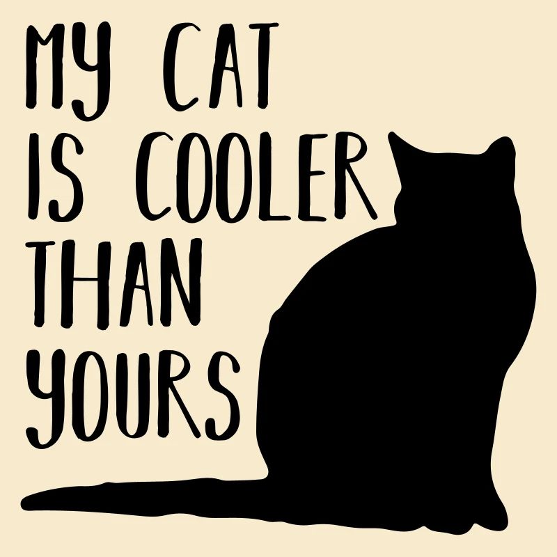 My cat