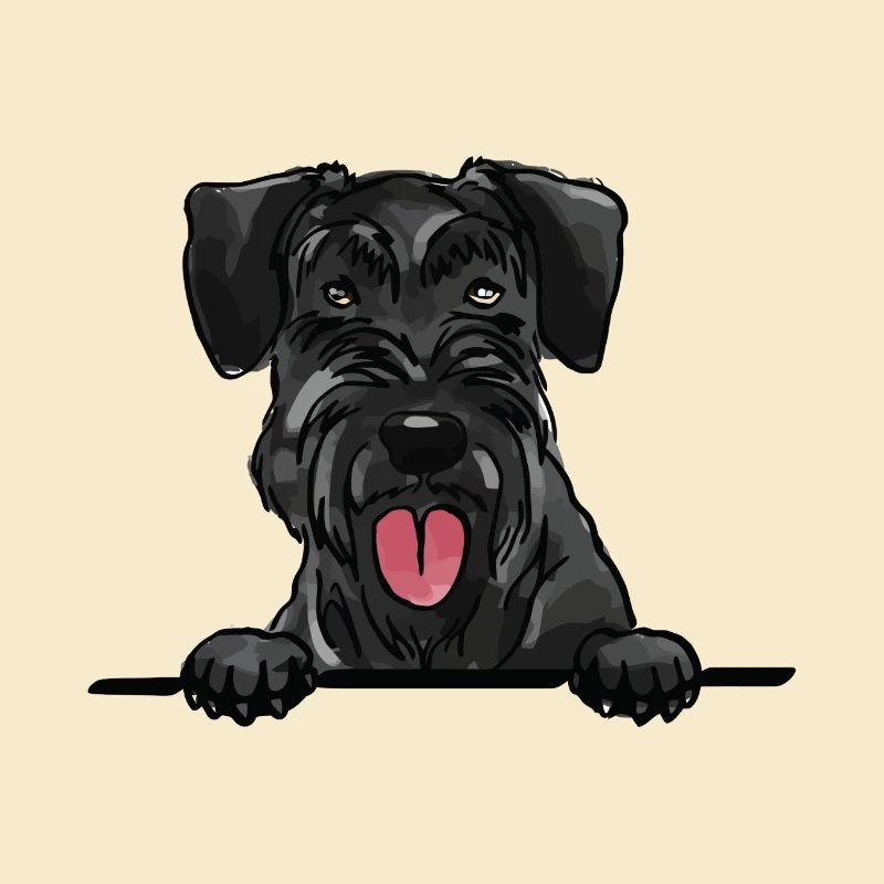 Chien Schnauzer géant pour les amateurs de chiens qui regardent
