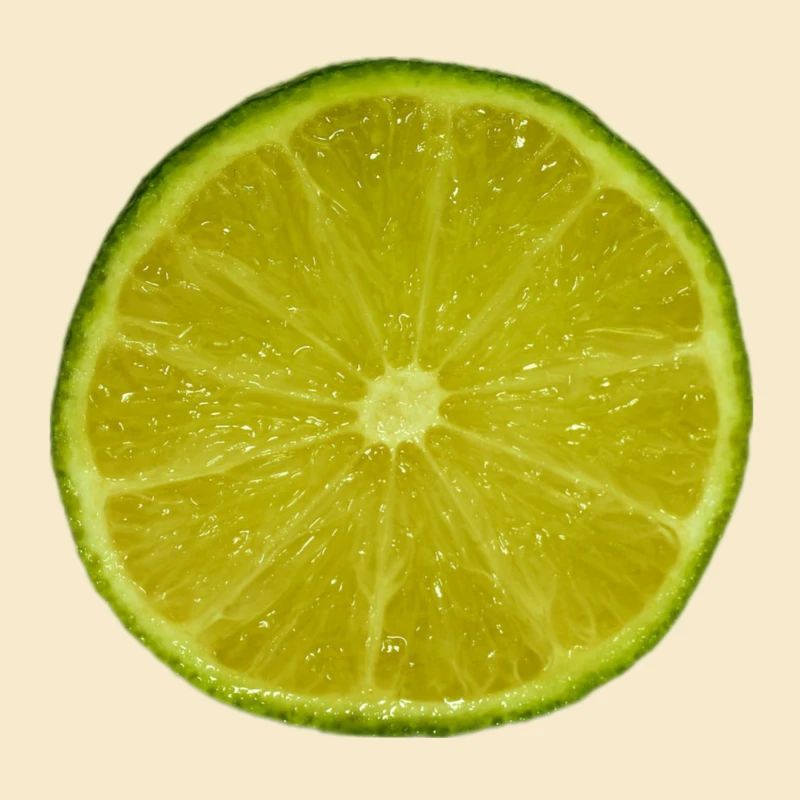 Lime Slice