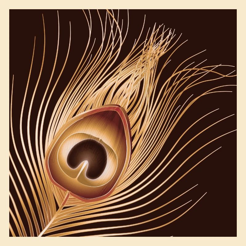 hand-drawn gold-colored peacock feather