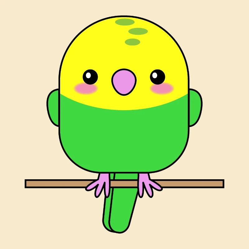 Budgerigar Parrot