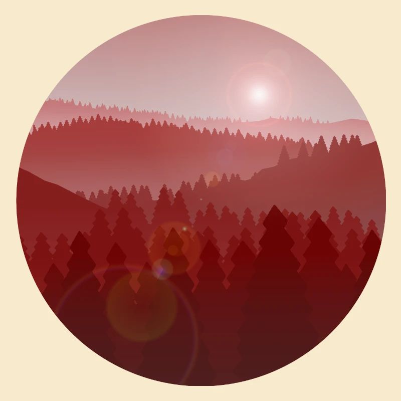 Sunset in pine forest