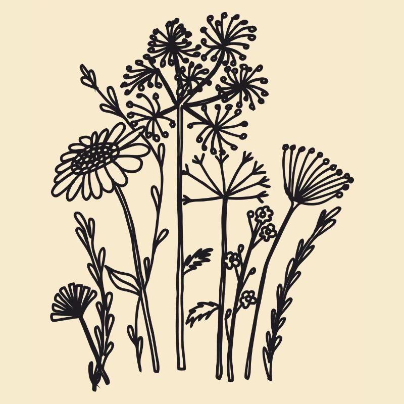 trockenblumen schwarz