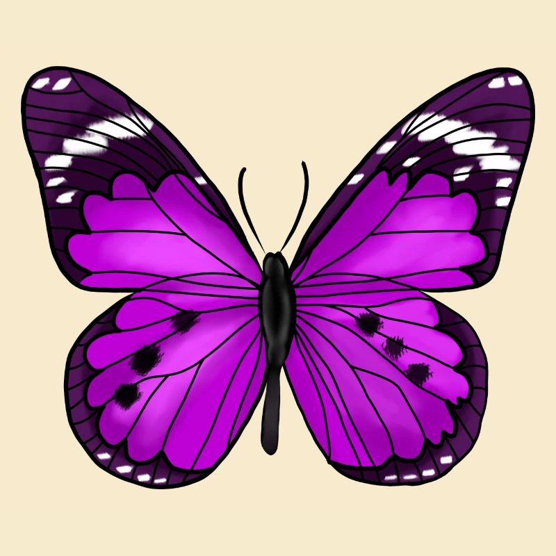 Papillon Violet
