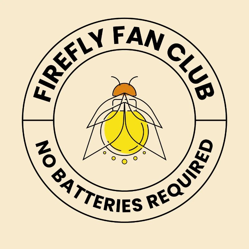 Lucioles Firefly Lightning Bug Insect Collector