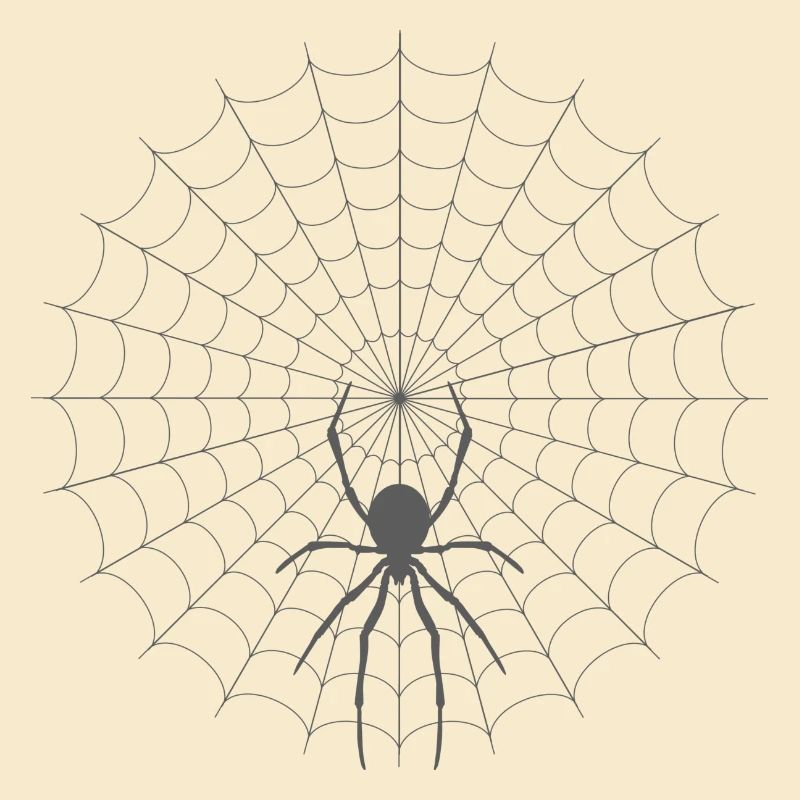 Spider Web Silhouette