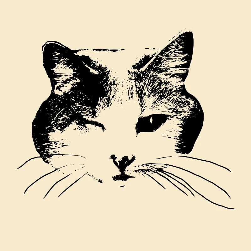 Kitty wink