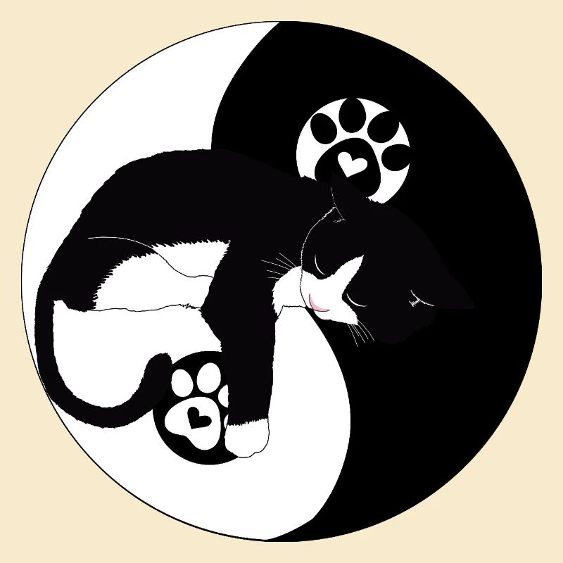 Chat nocturne sur la lune avec pattes