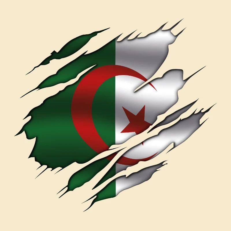 Drapeau de l’Algérie - Algérie - Drapeau déchiré