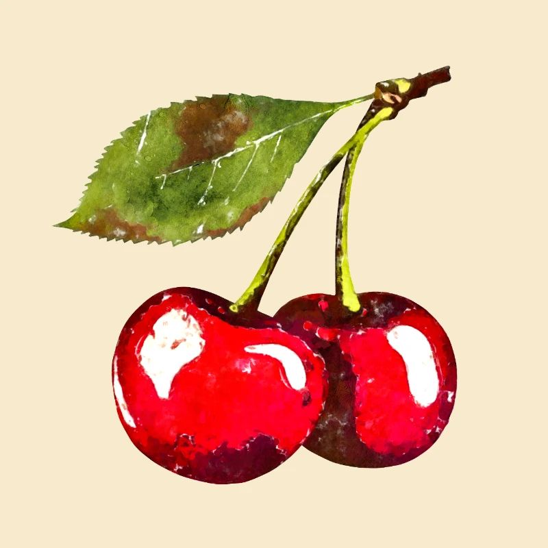 Cherries Summer Trend 2025 Cherry Vintrage Retro