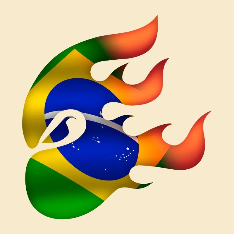 Drapeau du Brésil - Brésil - Ninja