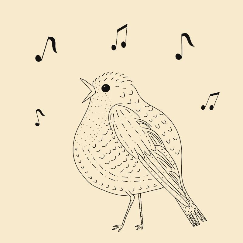 Eleganter singender Vogel in Schwarz-Weiß