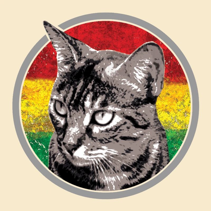 Chat avec des arrière-plans de drapeau