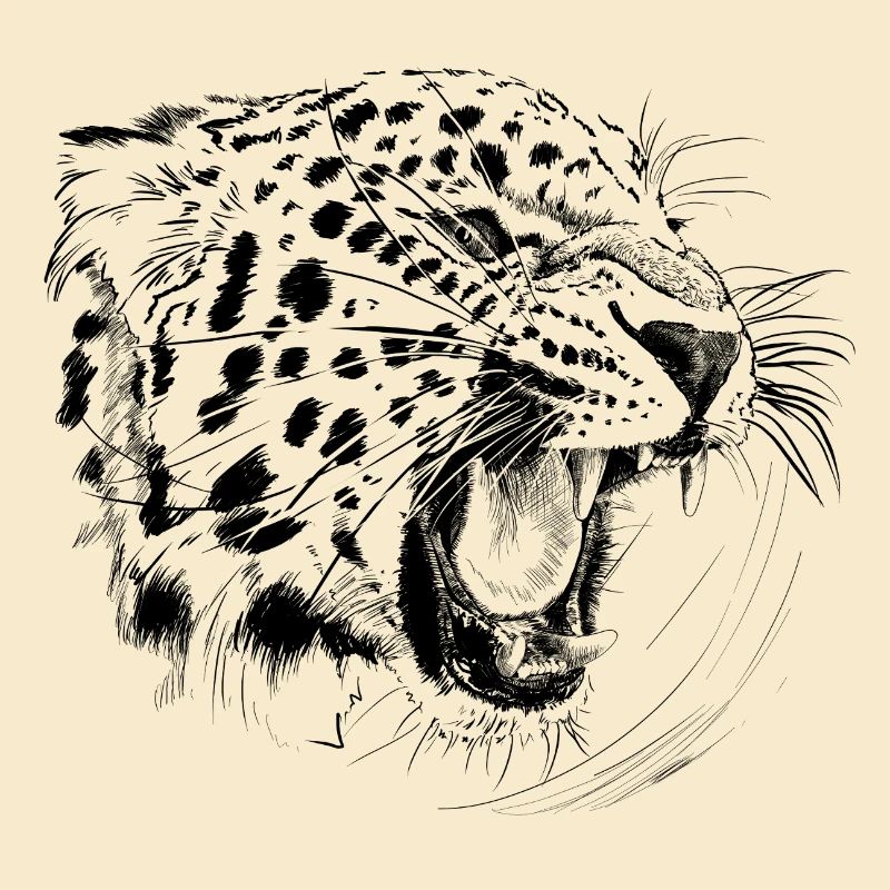 Léopard