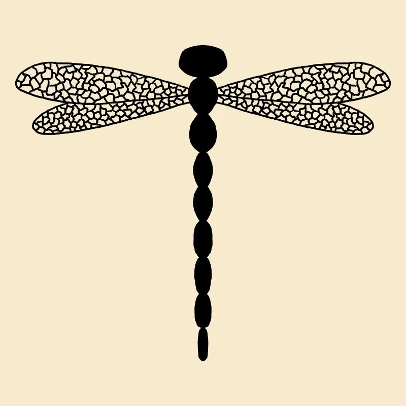 Libellule complexe