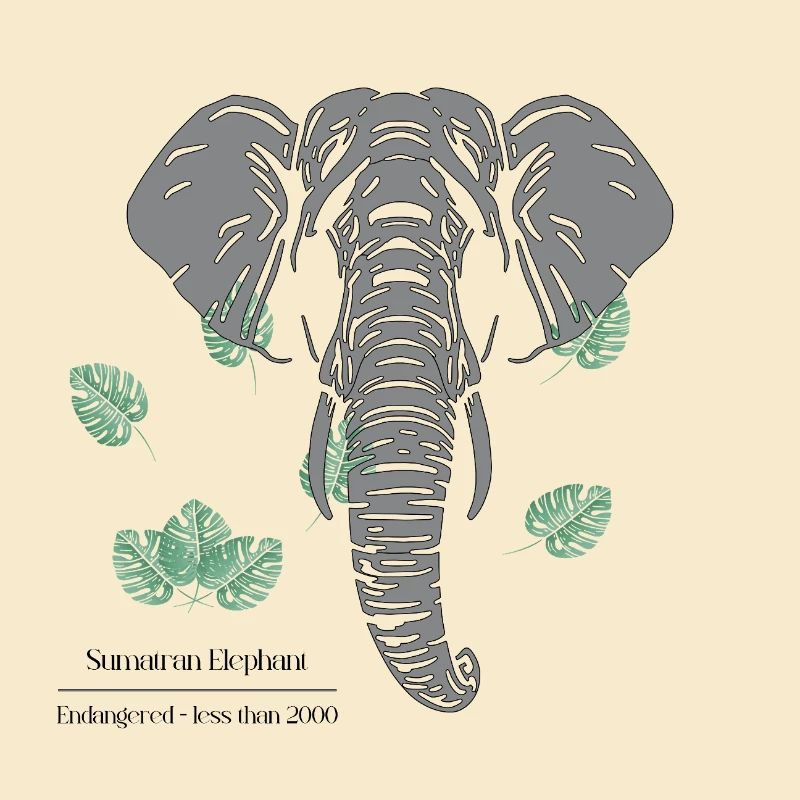 Sumatran_Elephant_-_grey