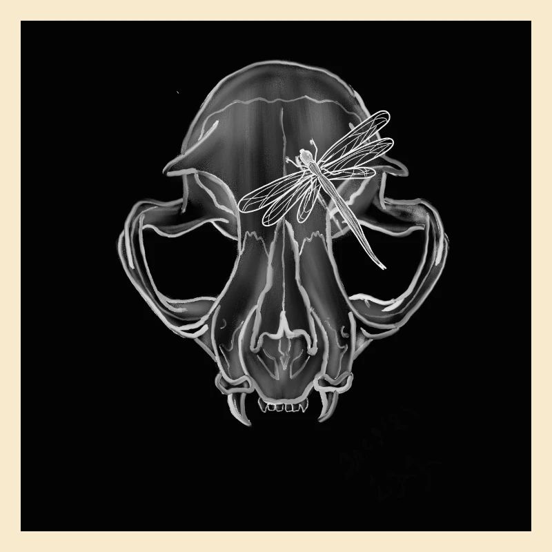 Boar Skull Libelle Linienkunst