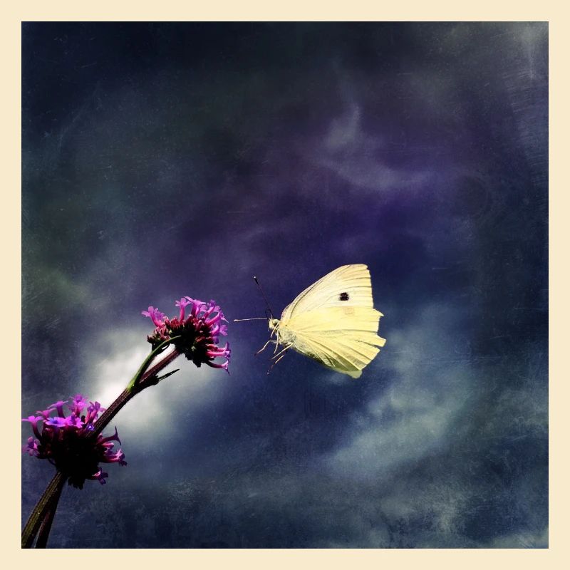 Anflug in Gewitterstimmung