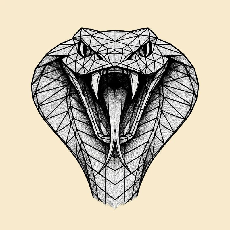 Geometric Cobra Head