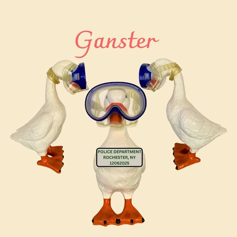 Ganster Goose arrêté