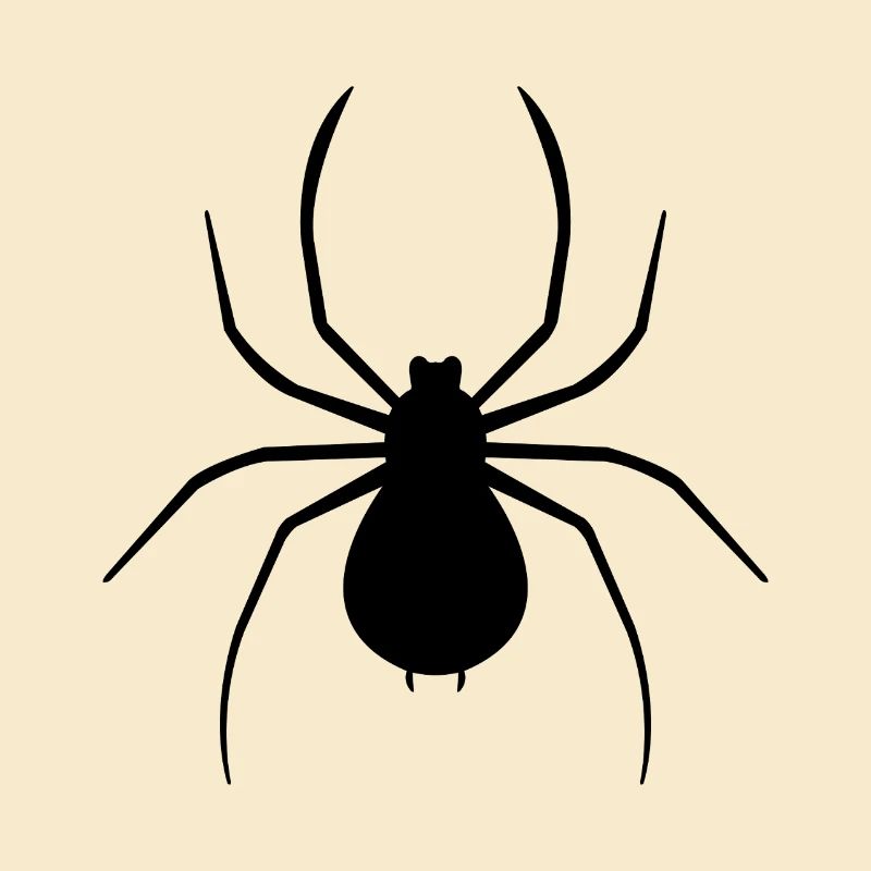 Spinne